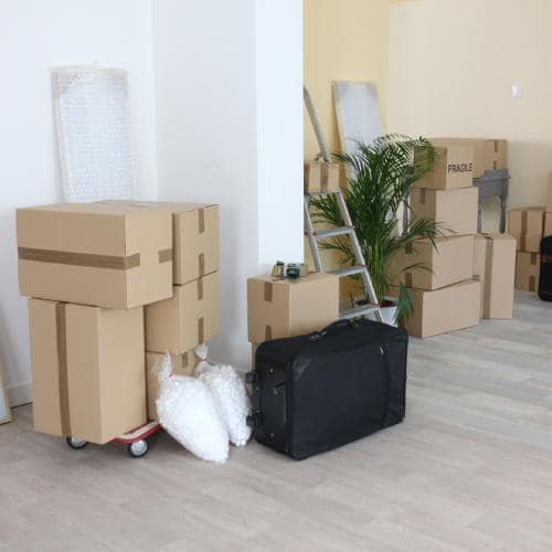 Move-In Cleaning
